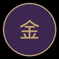金融专家