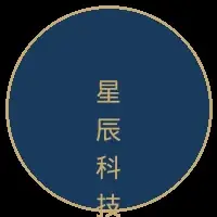 AI芯片创业公司